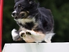 img_0037-kopie.jpg