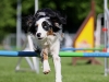 img_7162-kopie.jpg