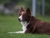 img_7210-kopie.jpg