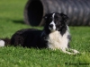 img_7436-kopie