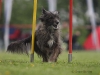 img_6302-kopie.jpg