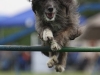 img_6305-kopie.jpg