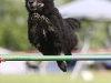 img_6730-kopie.jpg
