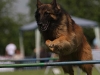 img_6786-kopie.jpg
