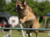 img_6791-kopie.jpg