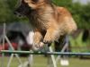 img_6792-kopie.jpg