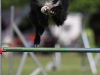 img_6801-kopie.jpg