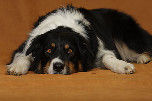 1024_3032386130646536 1024_3032386130646536