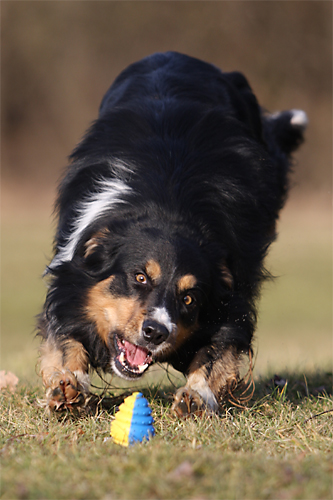 geburtstag-eyk geburtstag-eyk