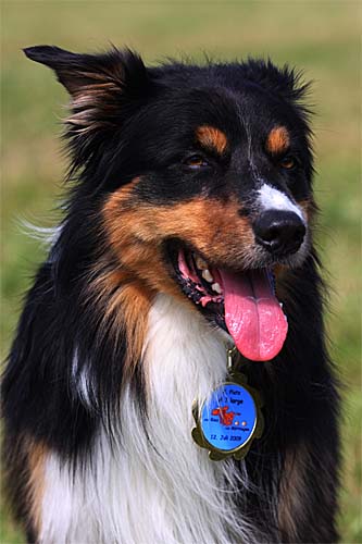 img_0165-1-kopie img_0165-1-kopie