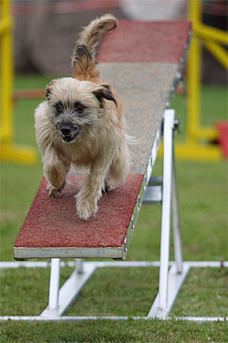 img_1318-1-kopie img_1318-1-kopie