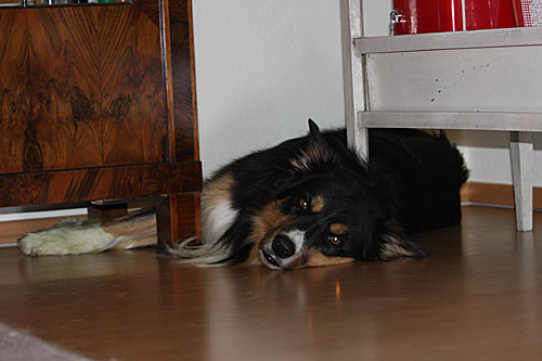 img_1370-1 img_1370-1