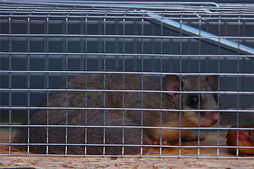 img_2136-kopie img_2136-kopie