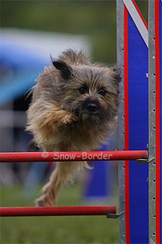 img_8037-klein-kopie