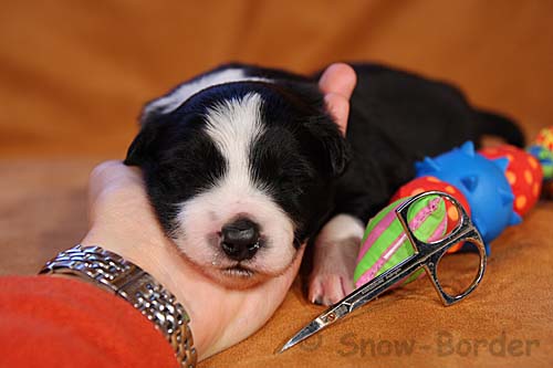 img_8281-kopie img_8281-kopie